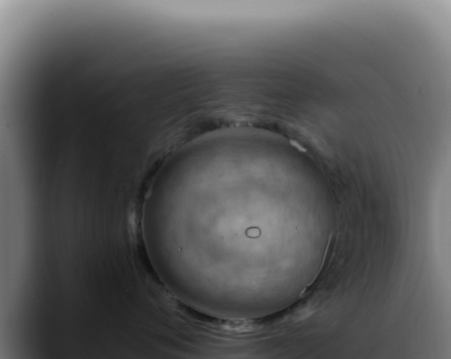 X0000088410720200705291449