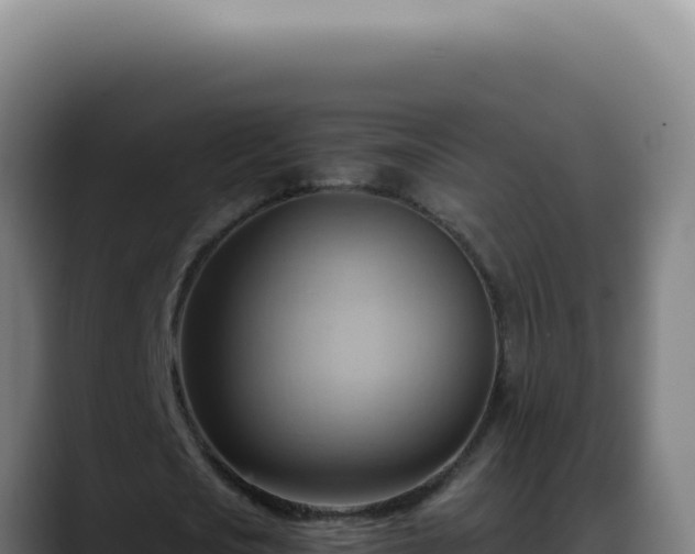X0000088410721200705291448