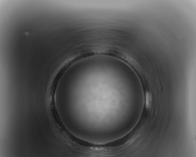 X0000088410723200705291448