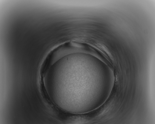X0000088410724200705291448