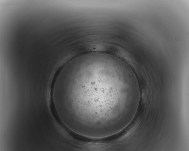 X0000088410725200705291448