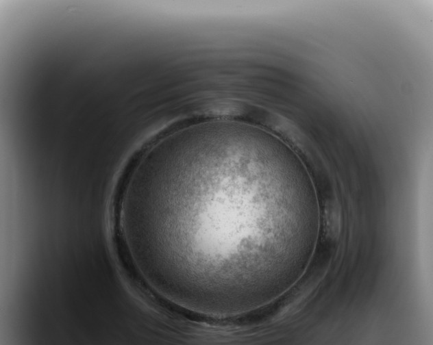 X0000088410726200705291448