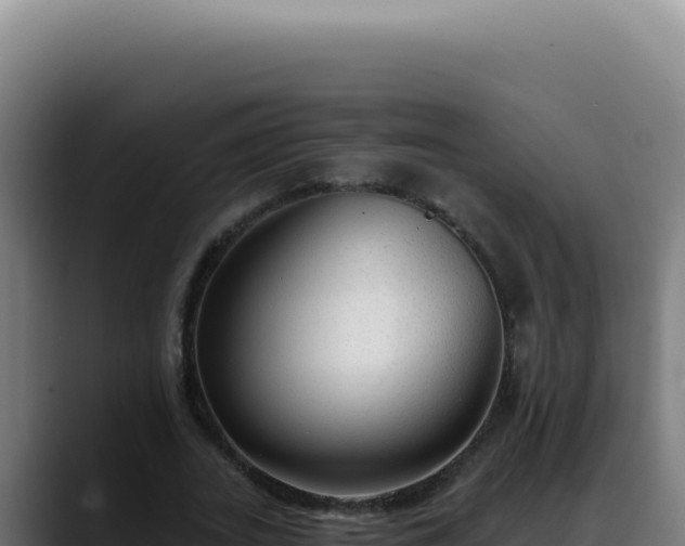 X0000088410727200705291448
