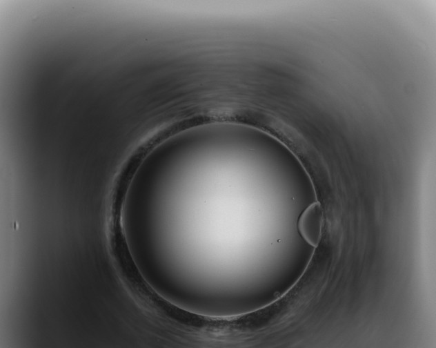 X0000088410728200705291448