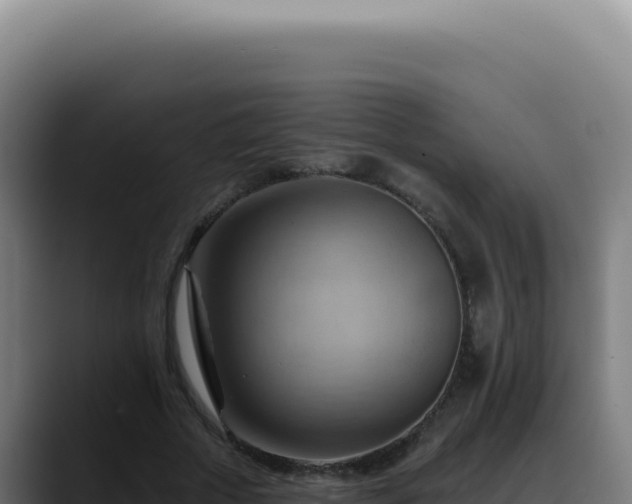 X0000088410729200705291448