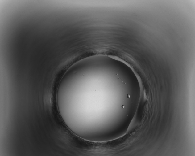 X0000088410732200705291449
