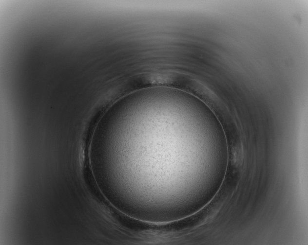 X0000088410733200705291449