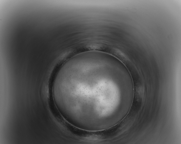 X0000088410734200705291449
