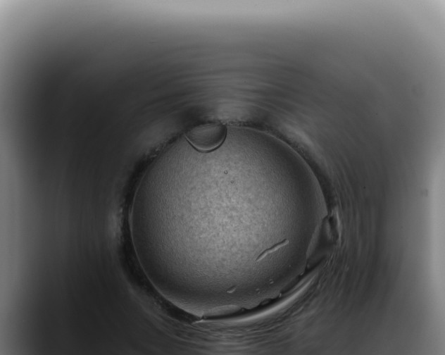 X0000088410735200705291449