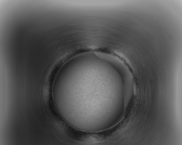 X0000088410736200705291449