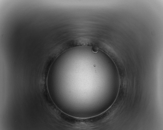 X0000088410737200705291449