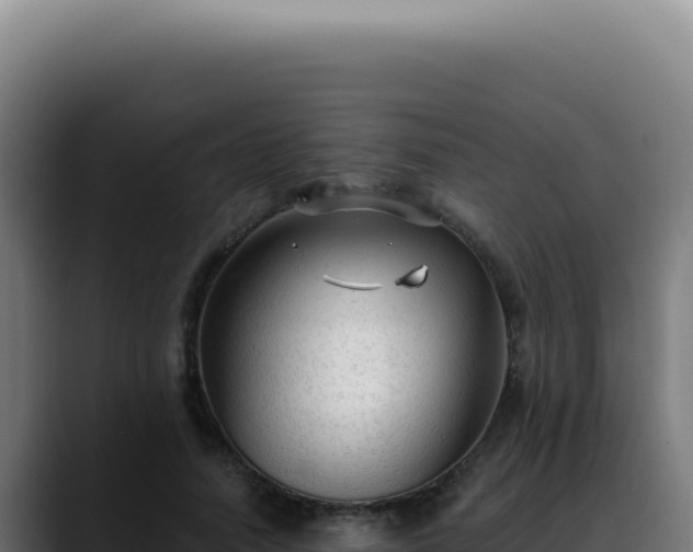 X0000088410738200705291449