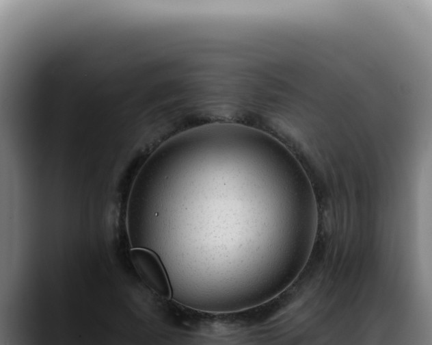 X0000088410739200705291449