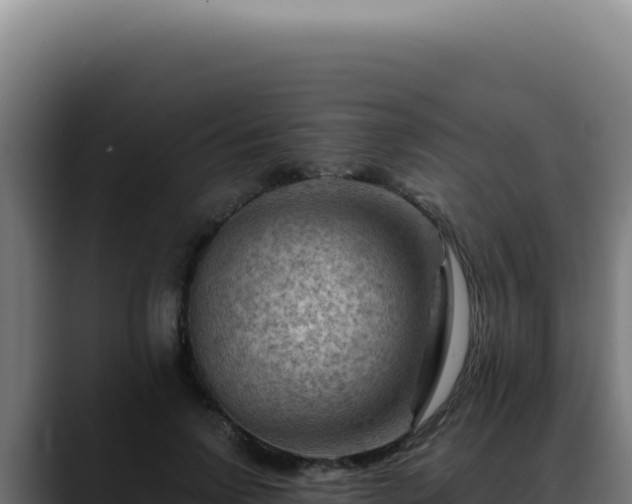 X0000088410742200705291449