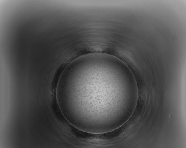 X0000088410743200705291449
