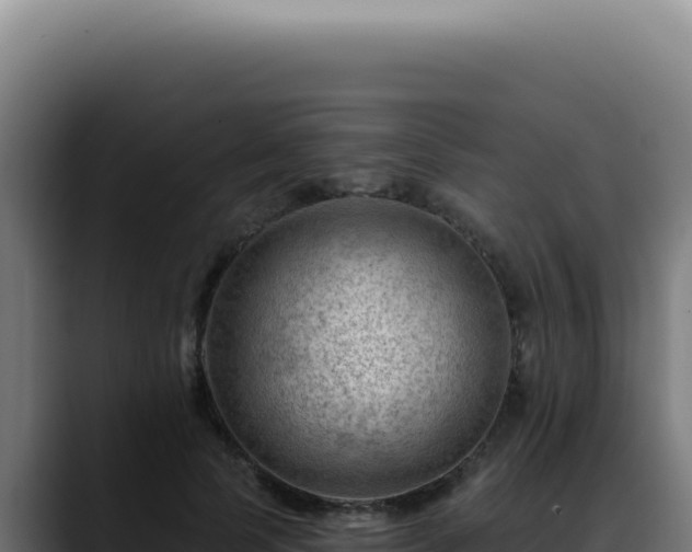 X0000088410745200705291449