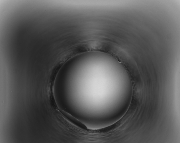 X0000088410746200705291449