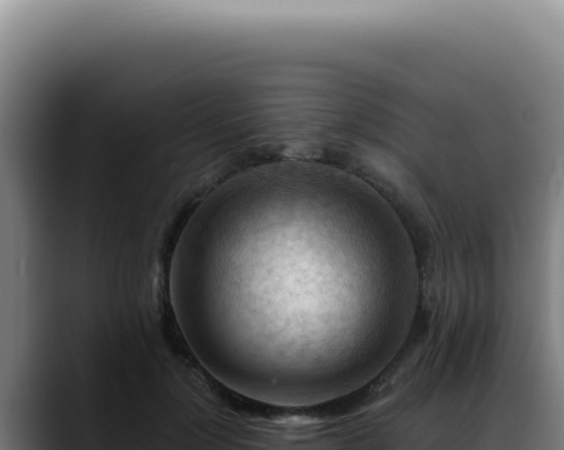 X0000088410748200705291449