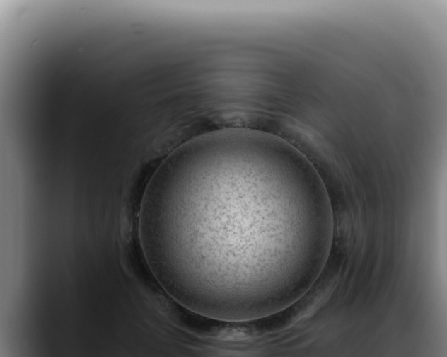 X0000088410751200705291449