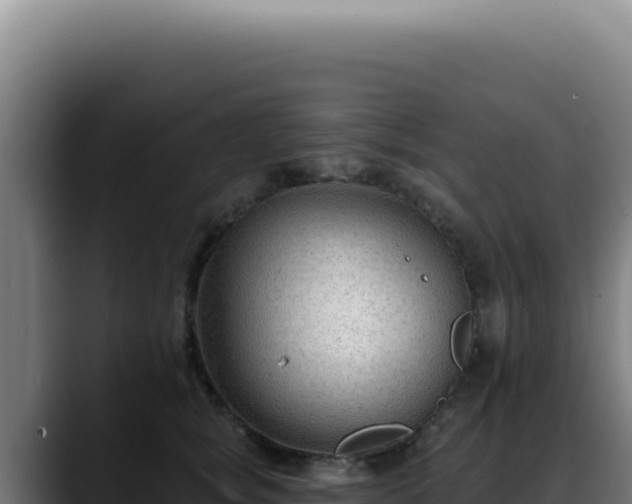 X0000088410757200705291449
