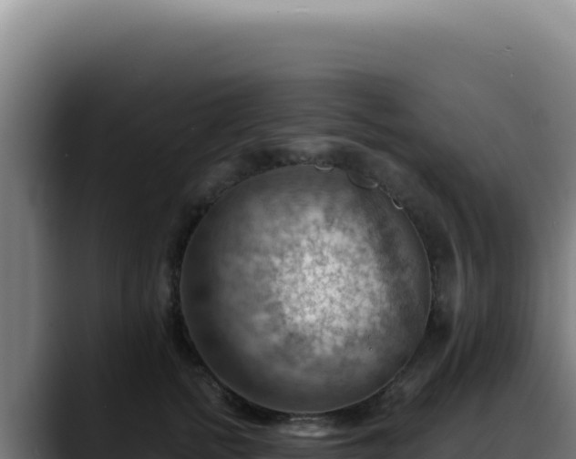 X0000088410758200705291449