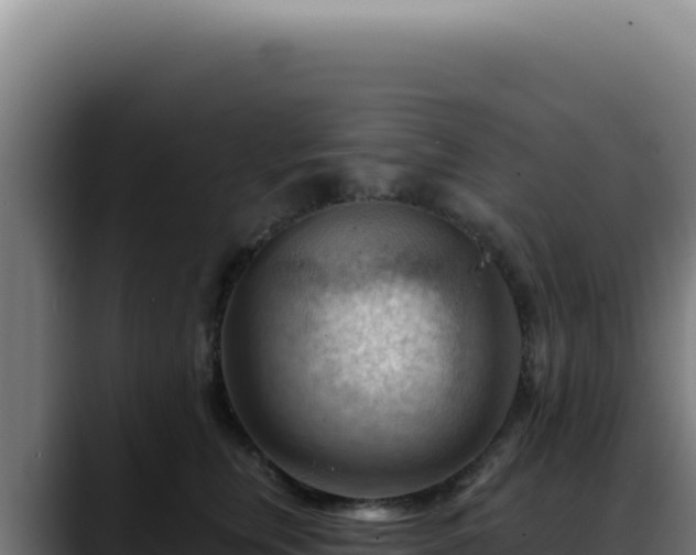 X0000088410759200705291449