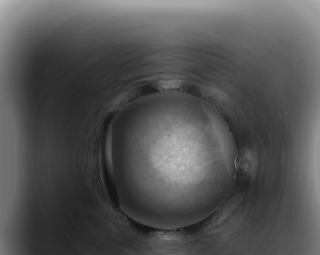 X0000088410763200705291449