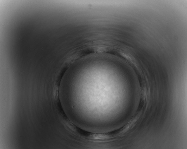 X0000088410766200705291449