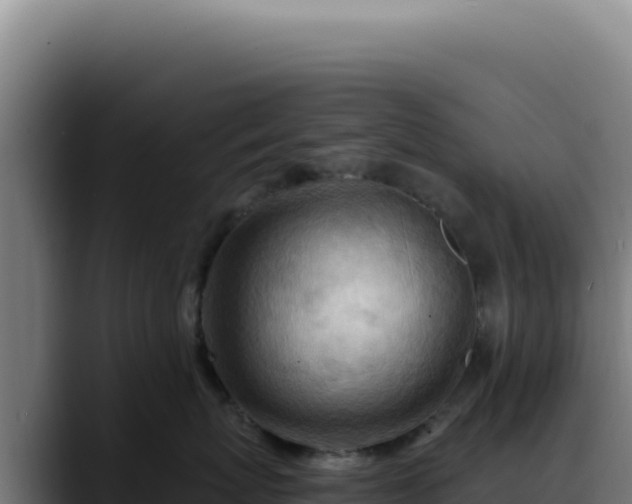 X0000088410767200705291449