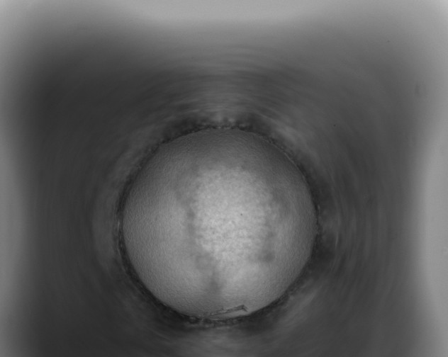 X0000088410769200705291448