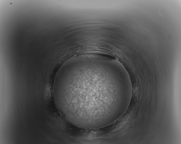 X0000088410772200705291448
