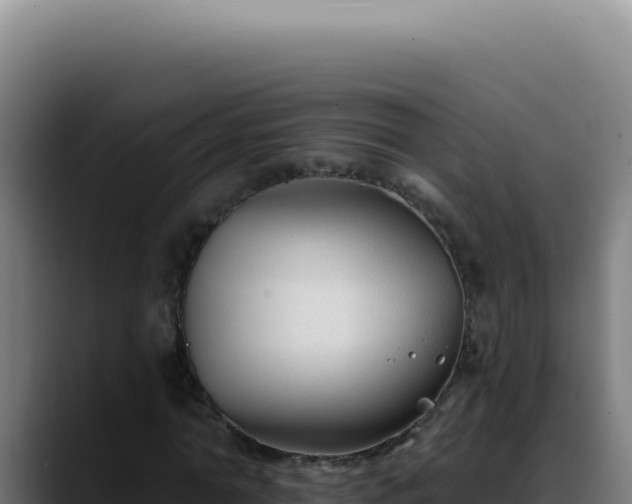 X0000088410774200705291448