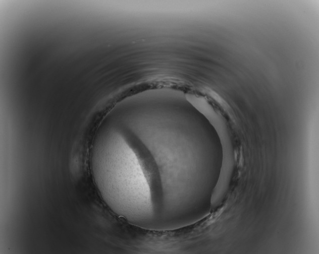 X0000088410775200705291448