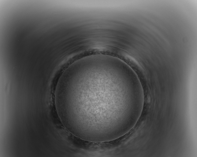 X0000088410776200705291448