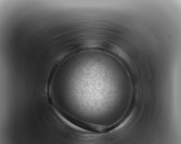 X0000088410777200705291448