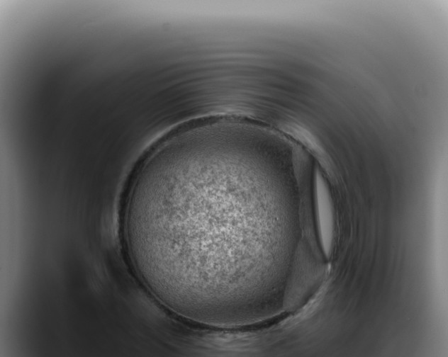 X0000088410780200705291448