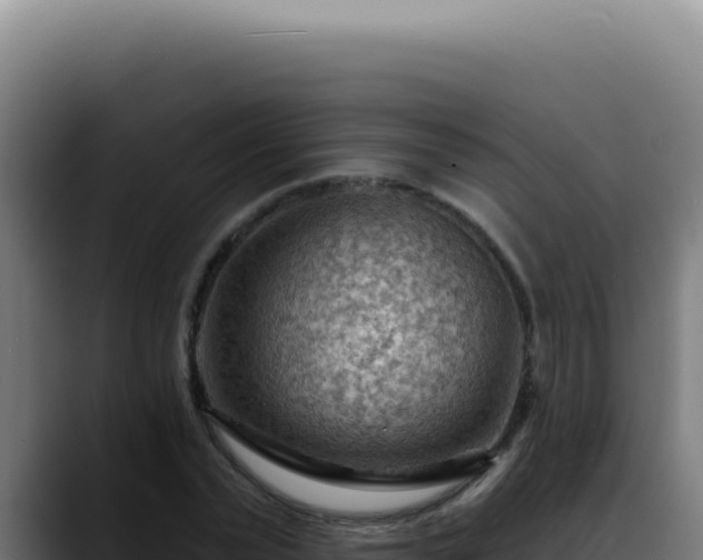 X0000088410783200705291448