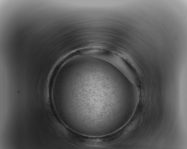 X0000088410784200705291448