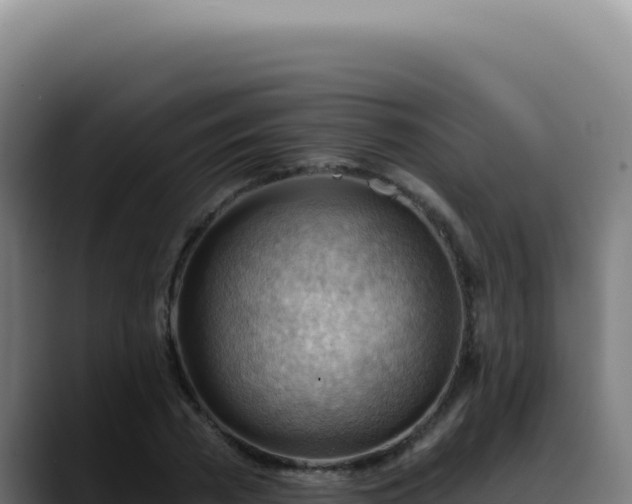 X0000088410785200705291448