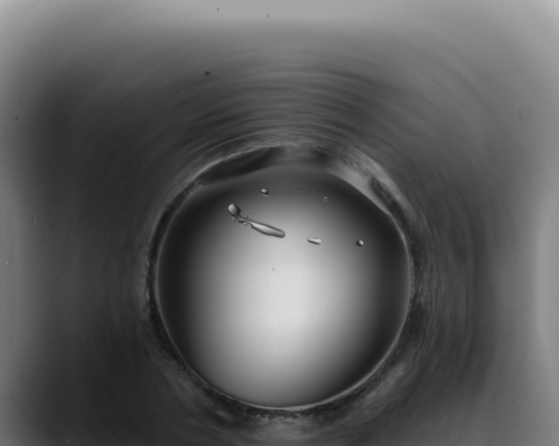 X0000088410786200705291448