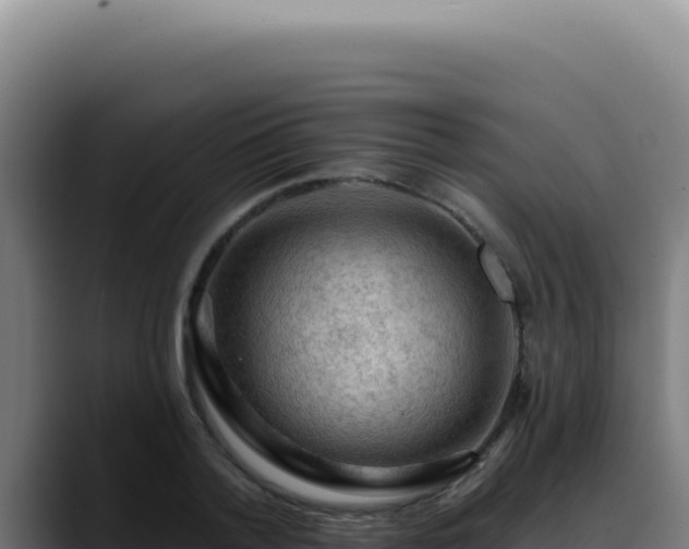X0000088410788200705291448