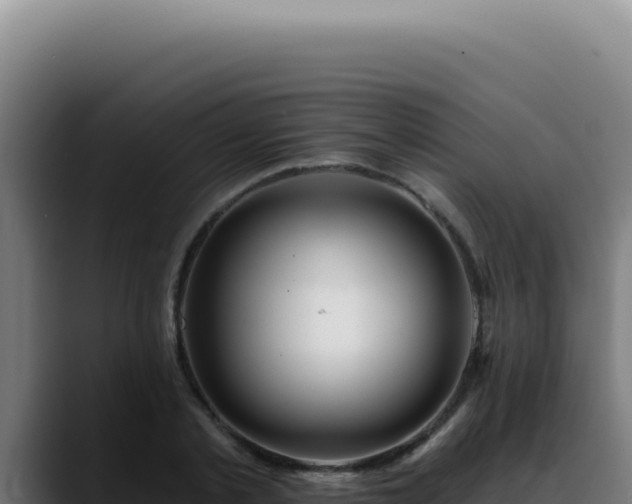 X0000088410789200705291448