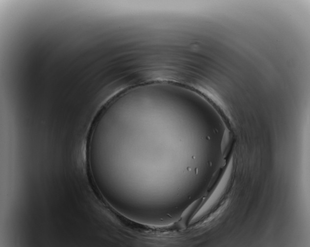 X0000088410790200705291448