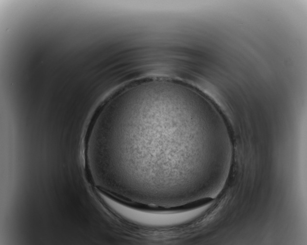 X0000088410791200705291448