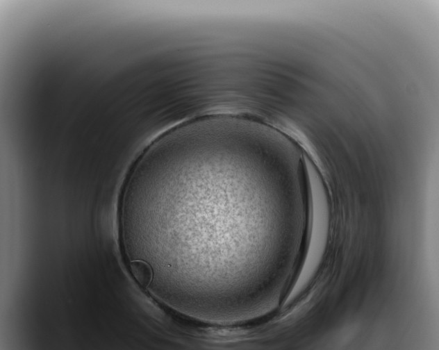 X0000088410795200705291448