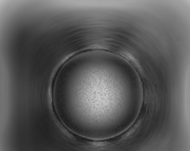 X0000088410796200705291448