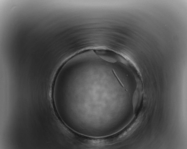X0000088410797200705291448