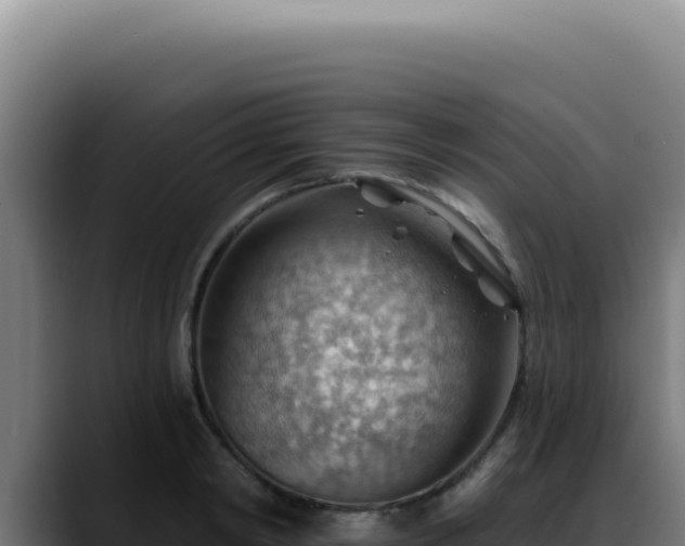X0000088410798200705291448