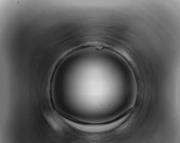 X0000088410799200705291448