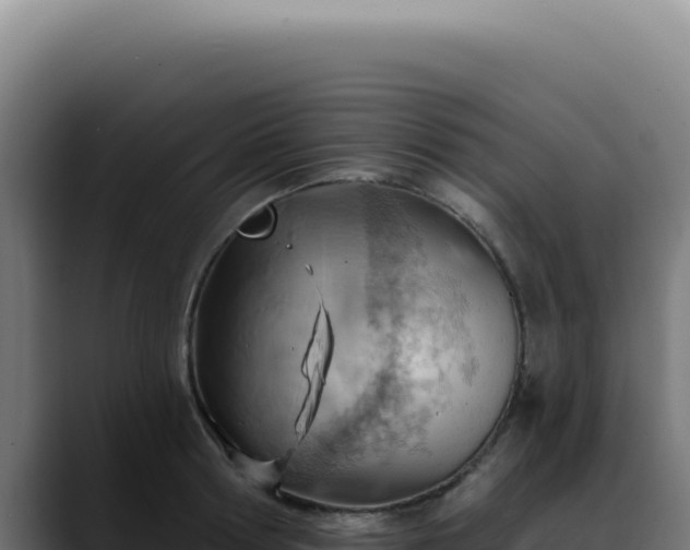 X0000088410802200705291448